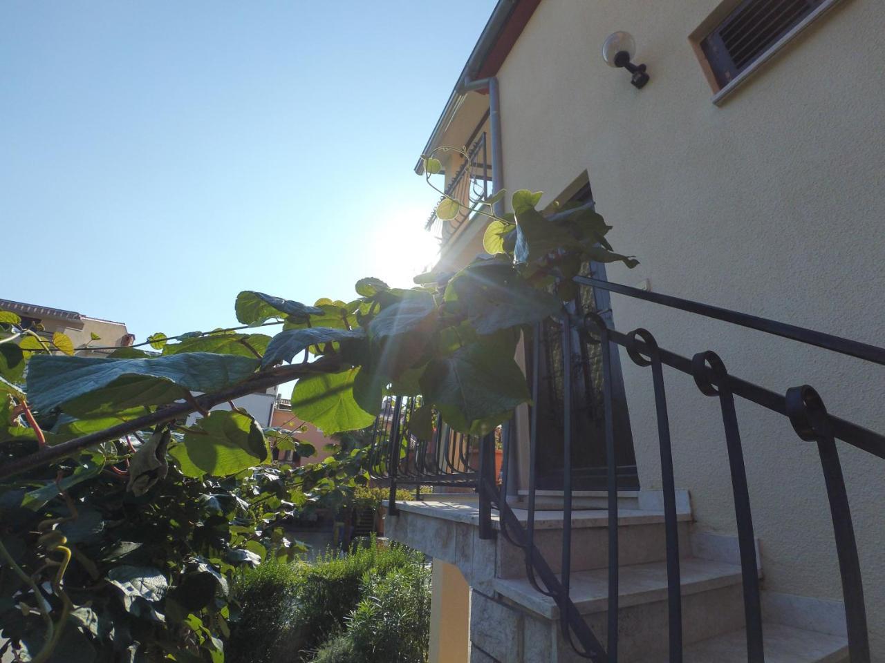 Apartment Exclusive Annex Rovinj Eksteriør billede
